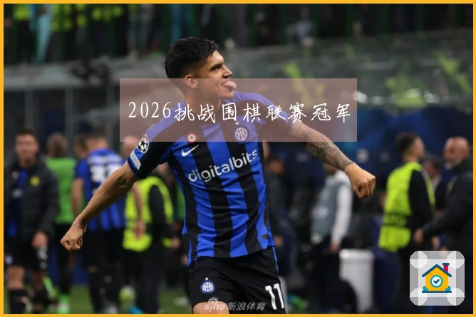 2026挑战围棋联赛冠军