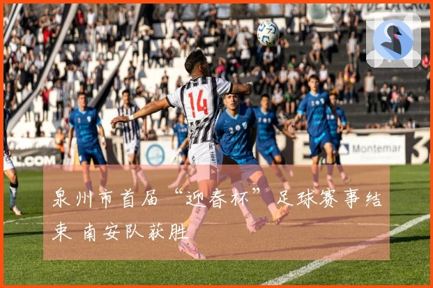 泉州市首届“迎春杯”足球赛事结束 南安队获胜