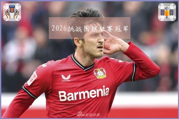 2026挑战围棋联赛冠军